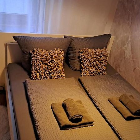 Viktor Apartment Titisee-Neustadt Eksteriør billede